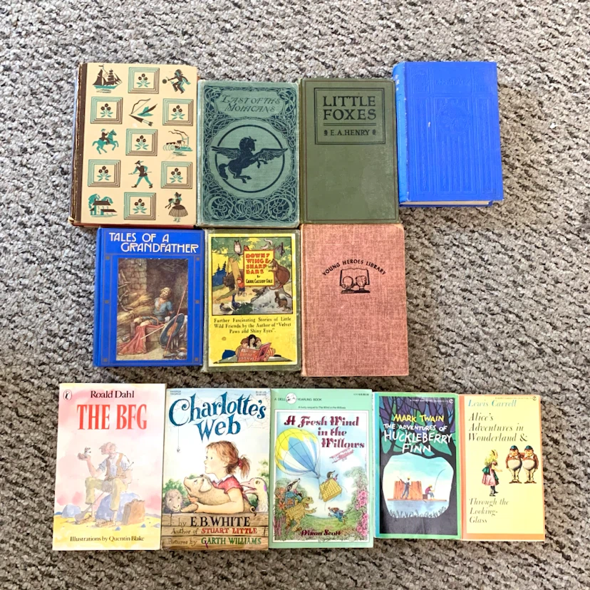 Vintage Children's Books Classic Kids Novels Story Book Lot 12