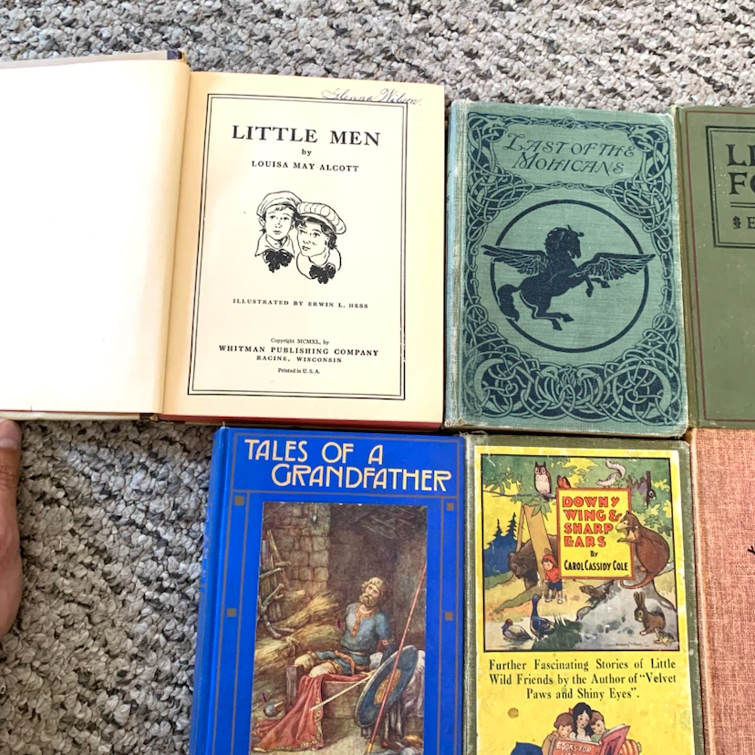 Vintage Children's Books Classic Kids Novels Story Book Lot 12 - photo 2