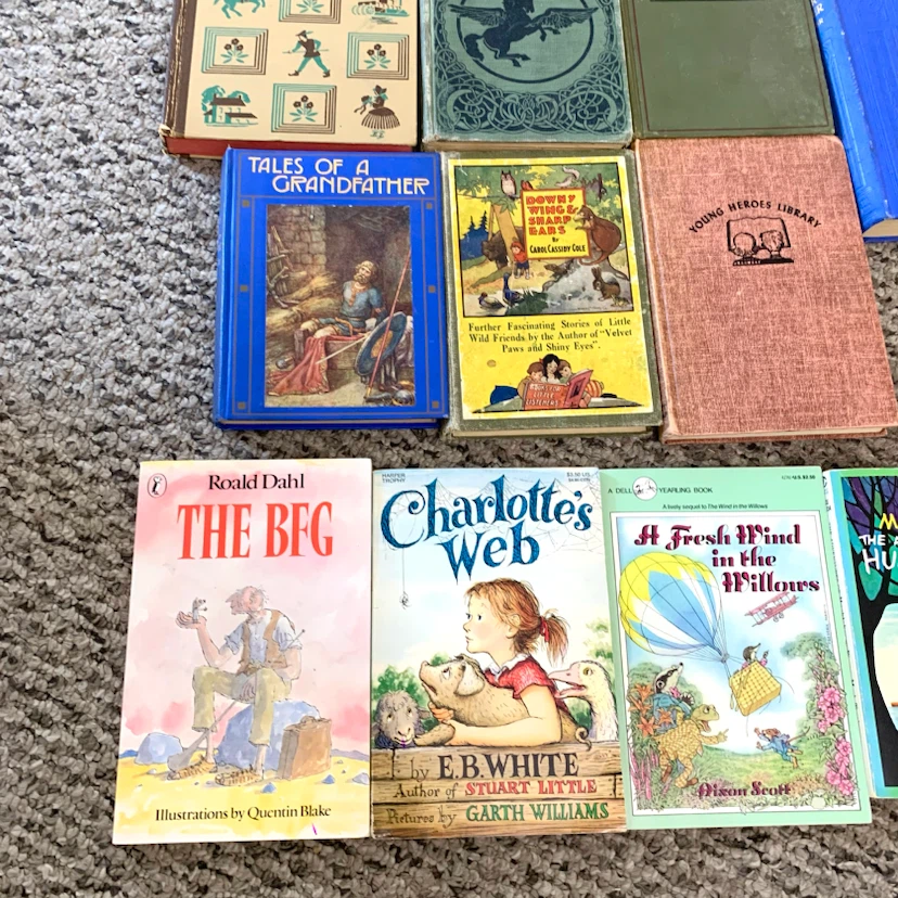 Vintage Children's Books Classic Kids Novels Story Book Lot 12 - photo 4