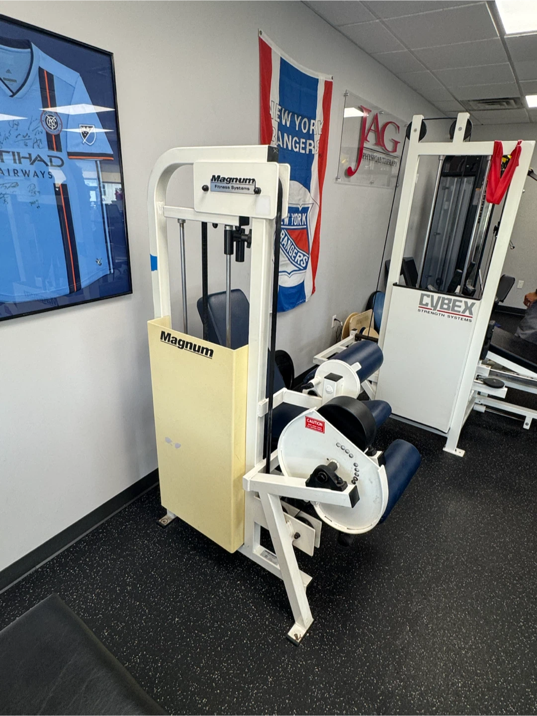 Magnum Fitness Systems Leg Extension Machine - photo 3