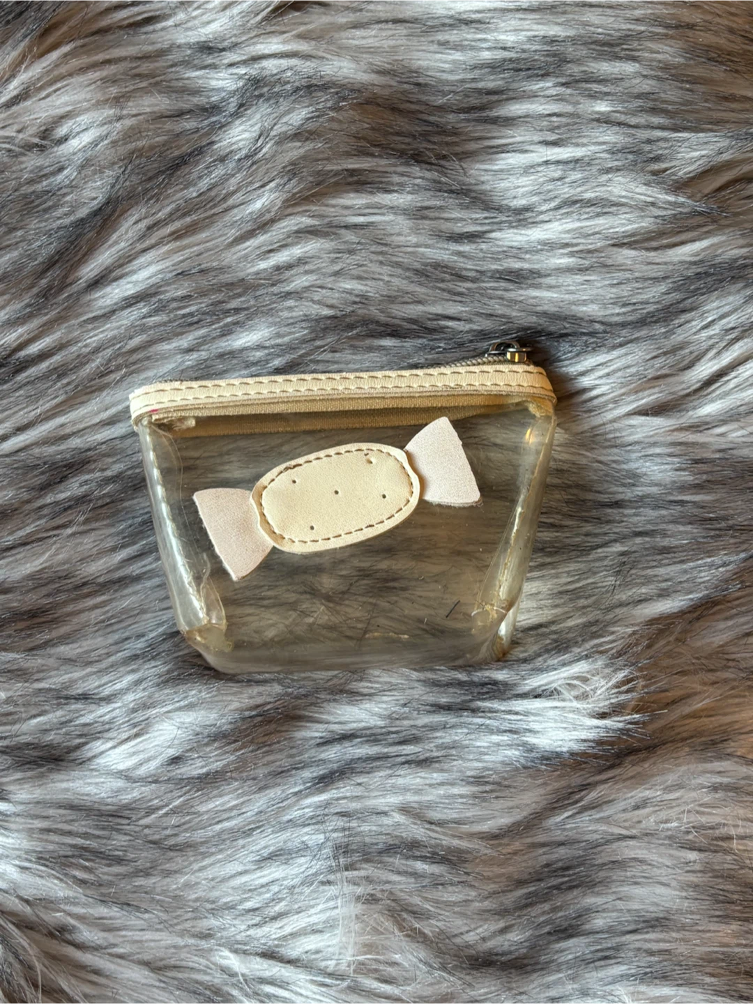 Clear Cosmetic Pouch with Candy Detail