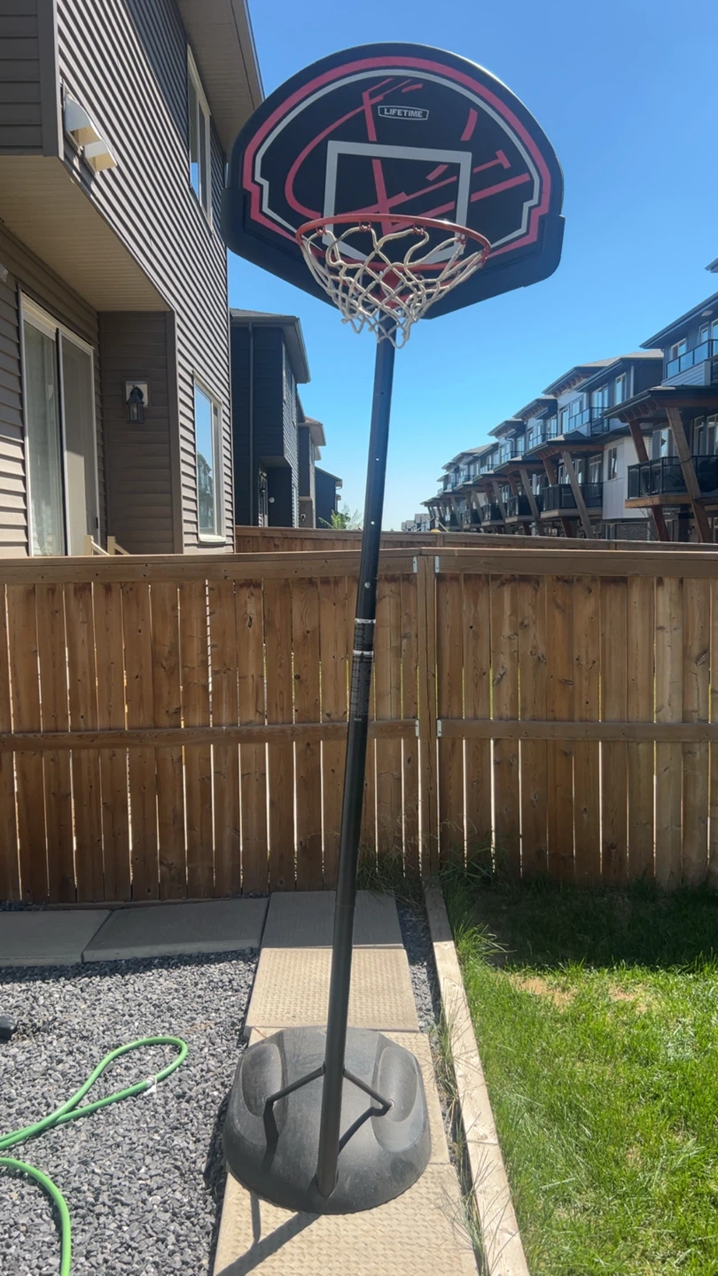 Lifetime Portable Basketball Hoop