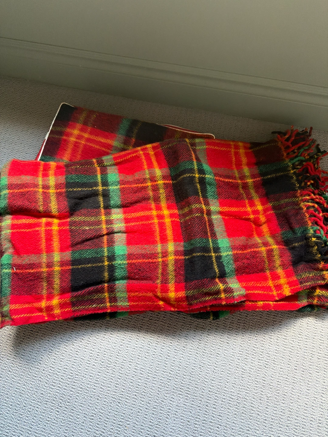 Beaver Brand Wool Plaid Blanket in case - photo 4