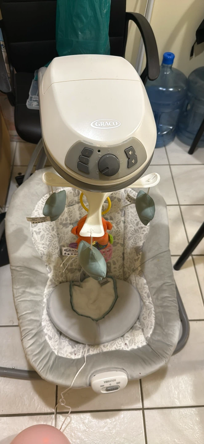Graco Baby Swing