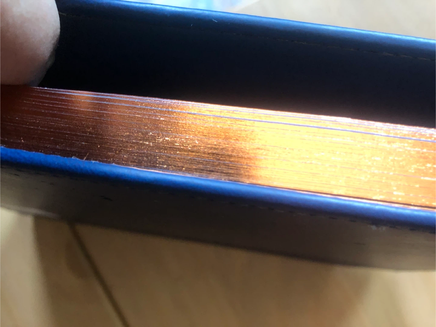 Nota Blue Journal with Mushroom Emblem - photo 2