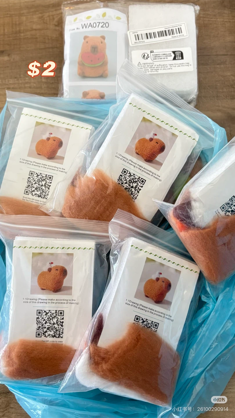 Capybara Wool Needle Felting Kit