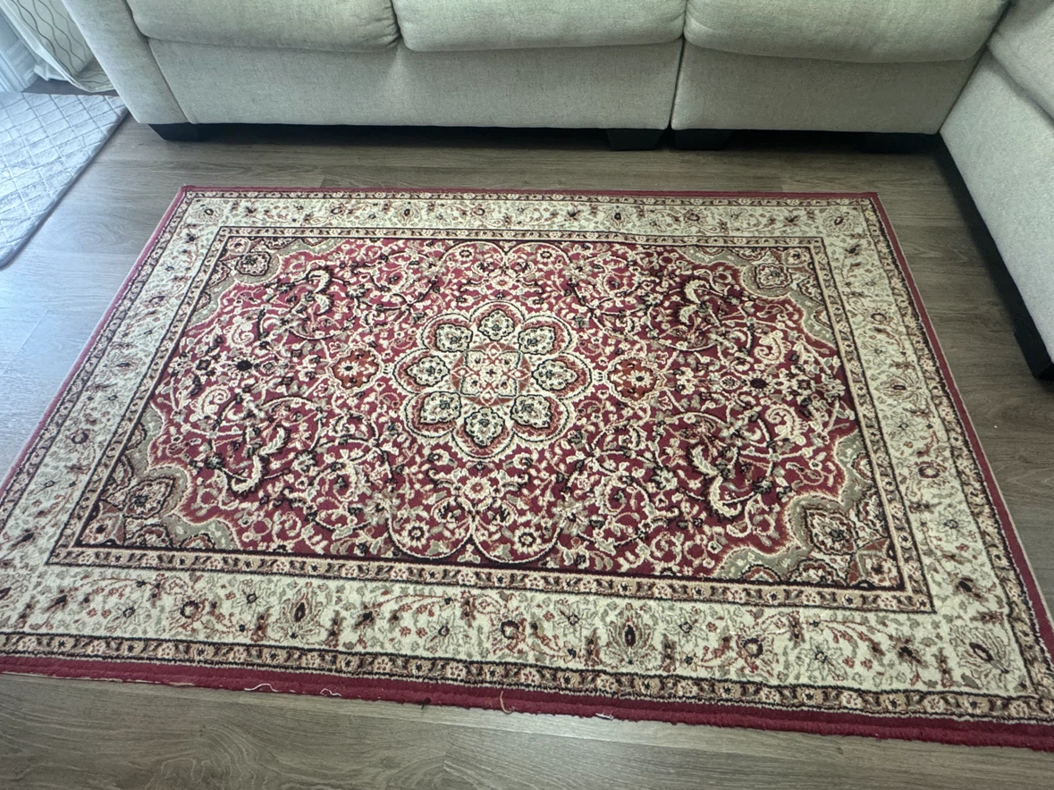Persian Style Area Rug 5x7 feet - photo 2