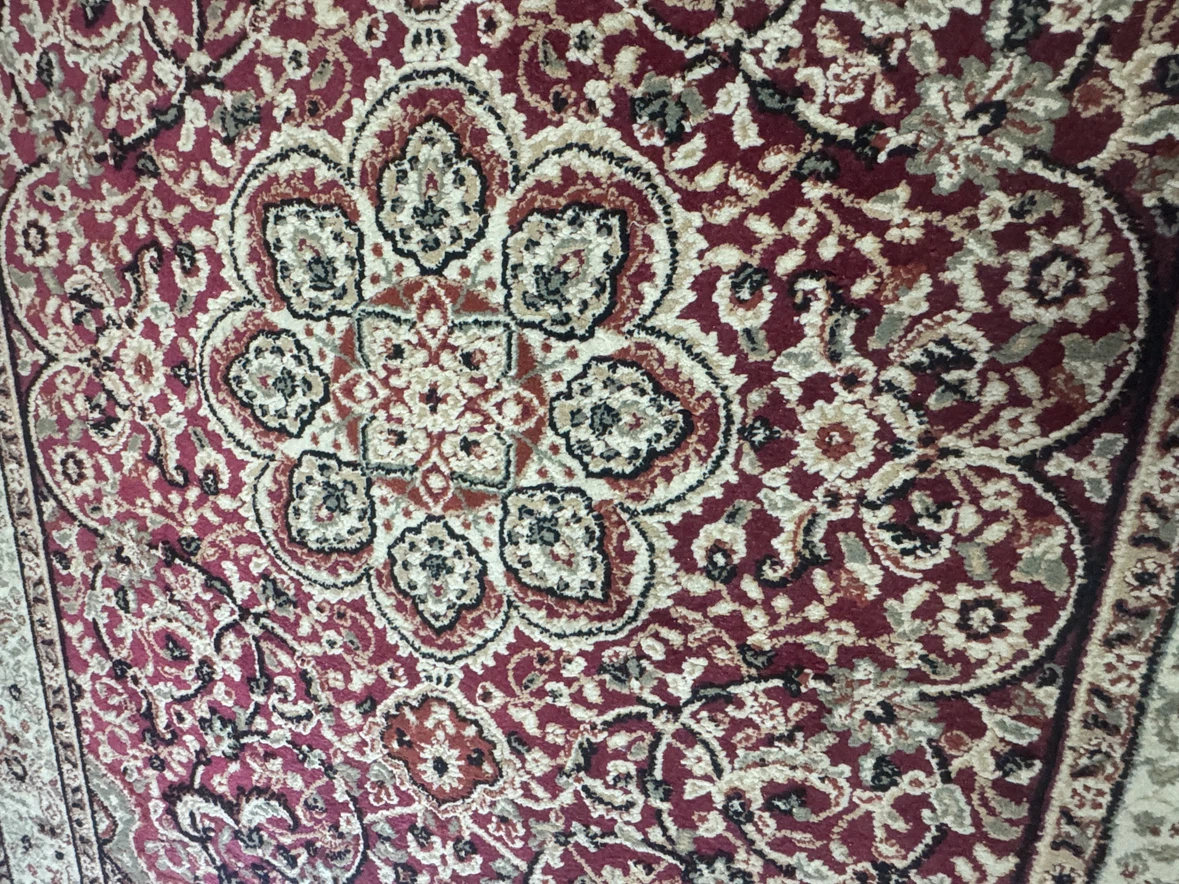 Persian Style Area Rug 5x7 feet - photo 3