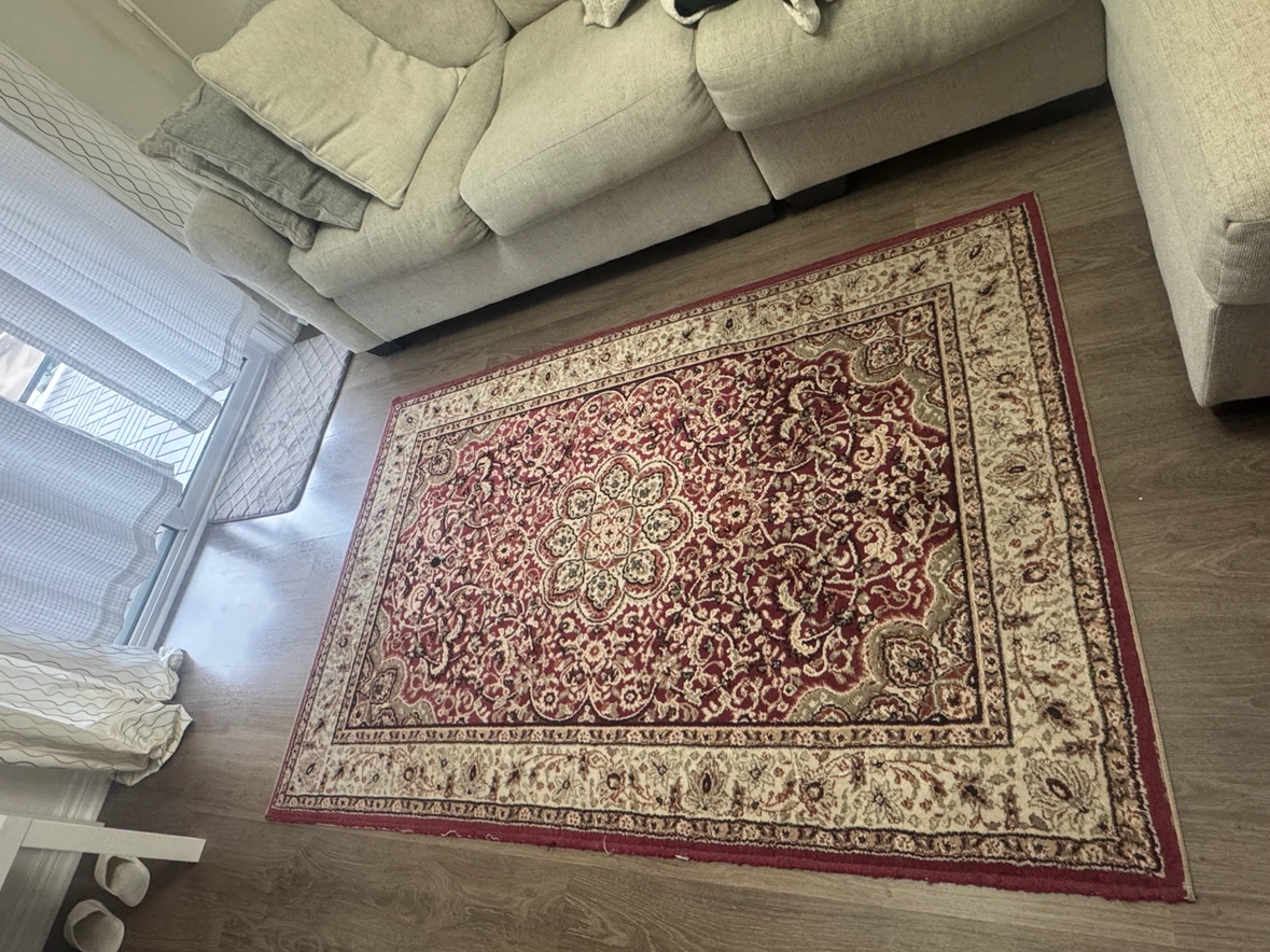 Persian Style Area Rug 5x7 feet - photo 4