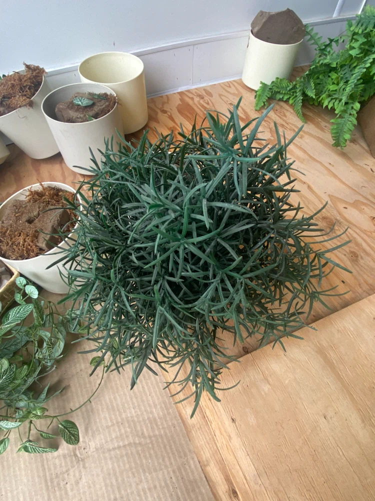 Plants ~ artificial - photo 2
