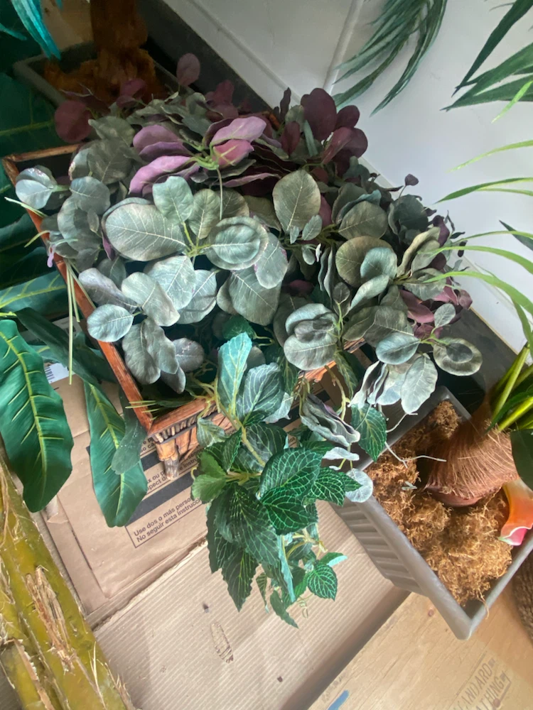 Plants ~ artificial - photo 3