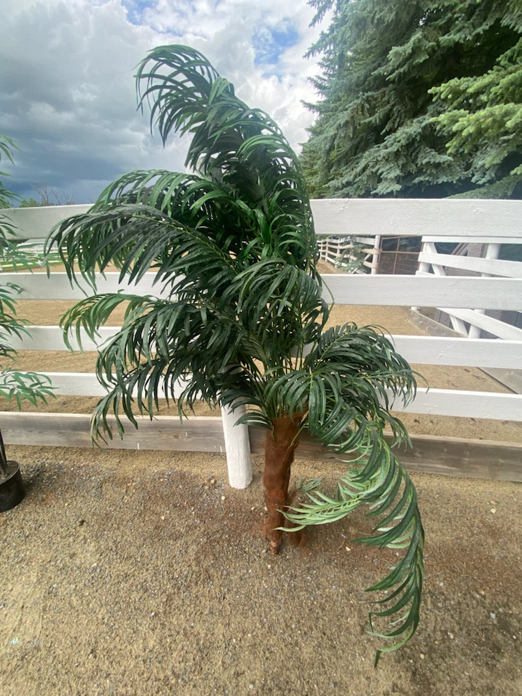 Plants ~ artificial - photo 4