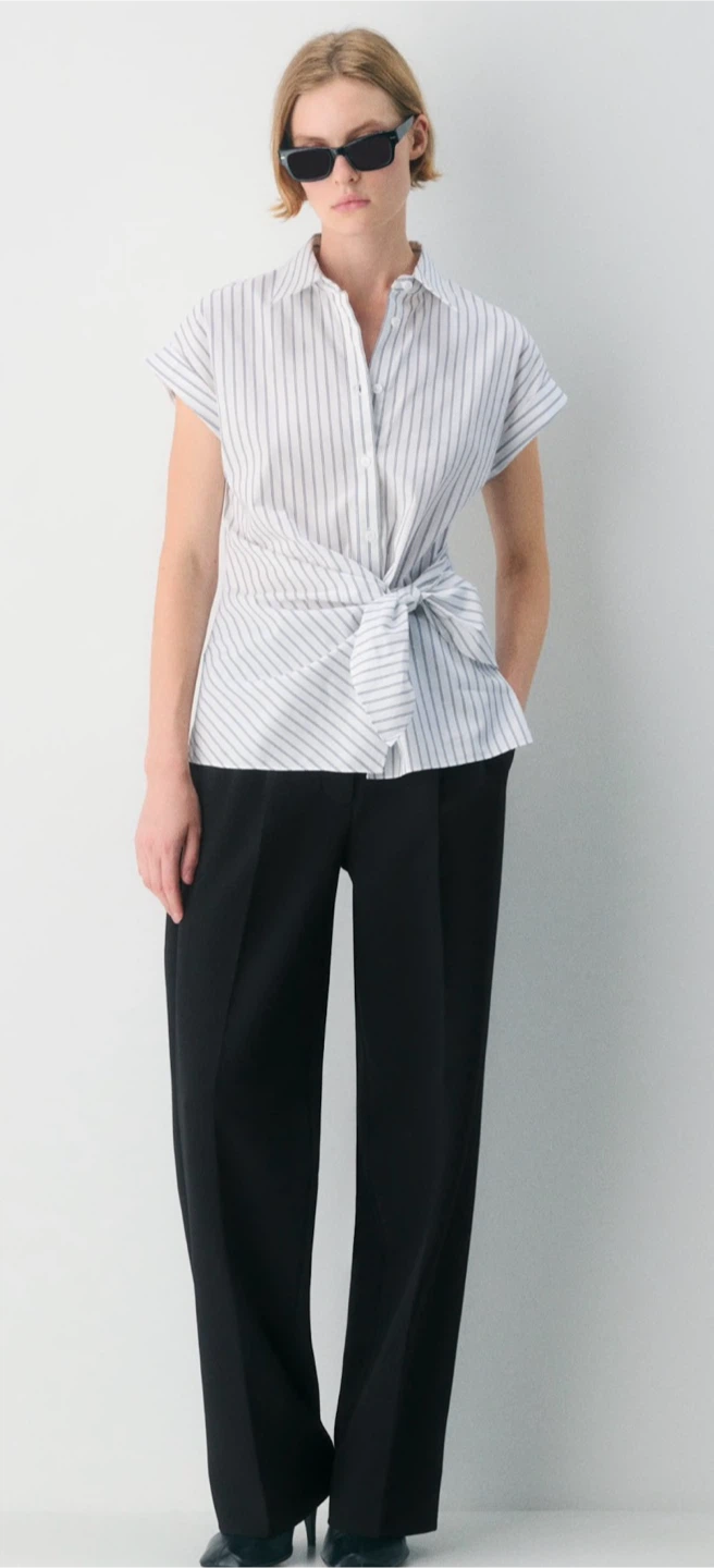 Aritzia poplin Shirt