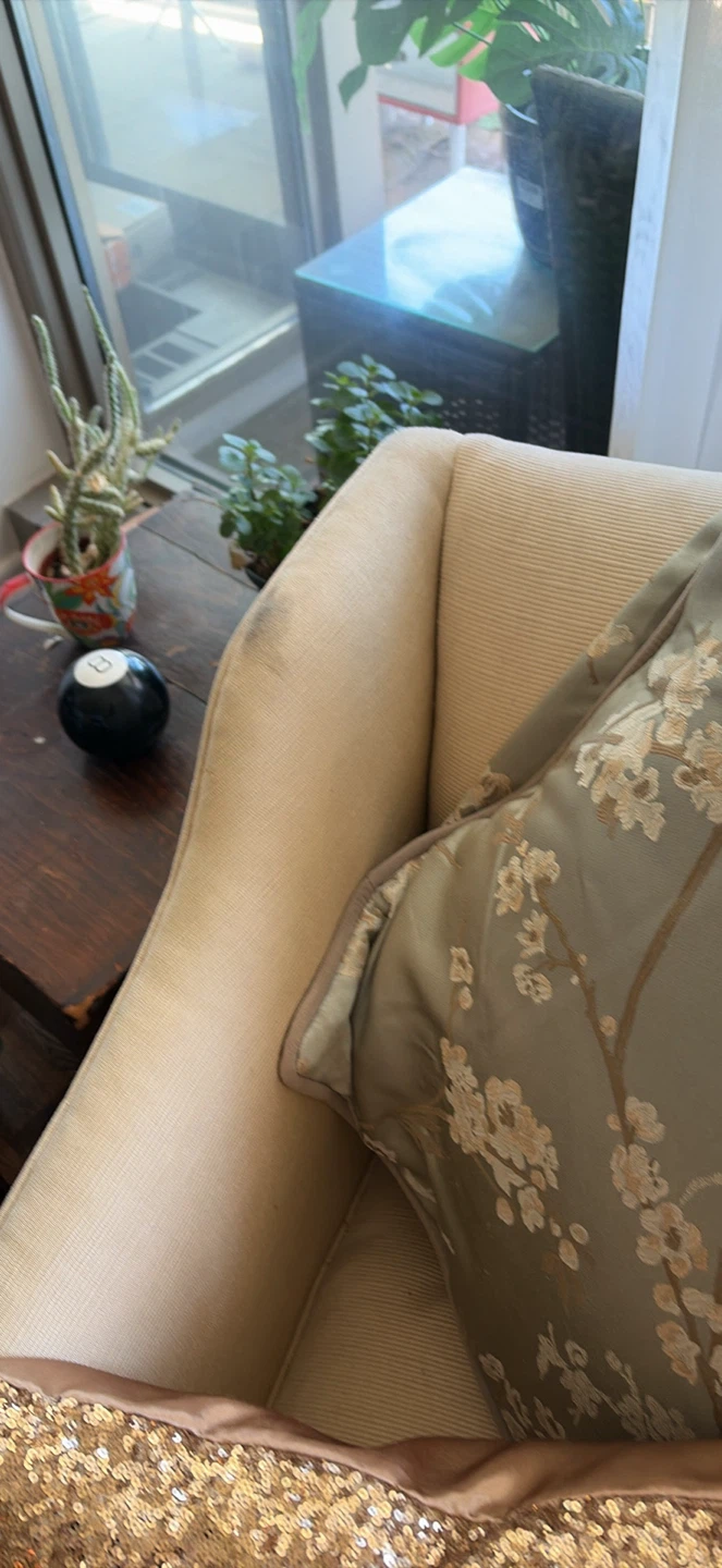 Customer Raw Silk chair & half. With pillow cases and inserts - photo 2