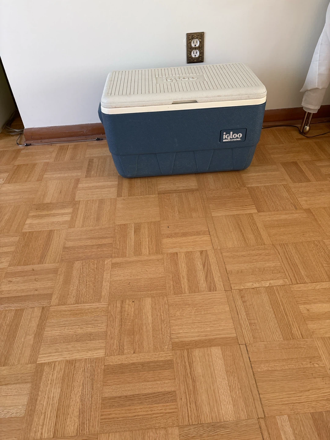 Igloo Cooler