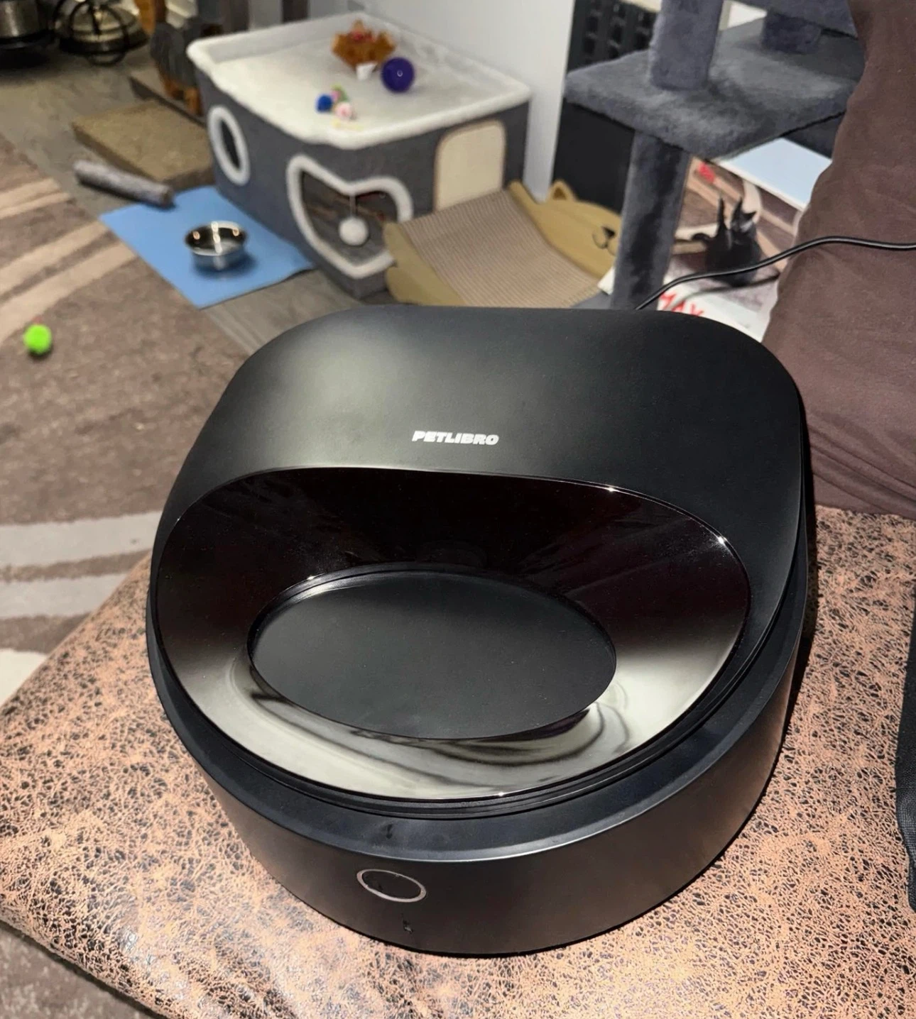 Automatic, wet, cat feeder