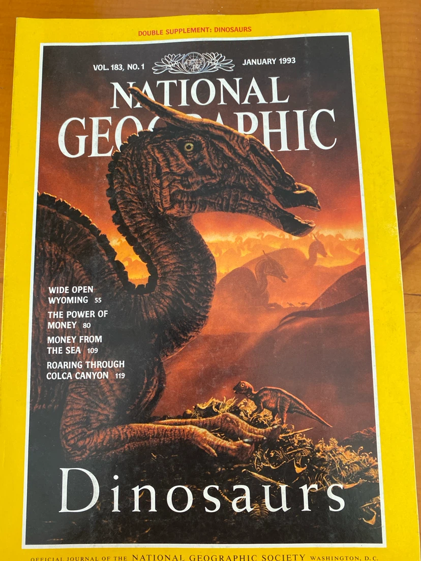 National Geographic Magazine - 1993 - photo 2