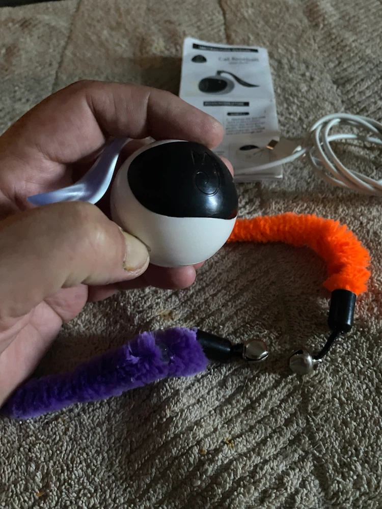 Cat Football Toy with Interactive Worm Attachment - photo 2