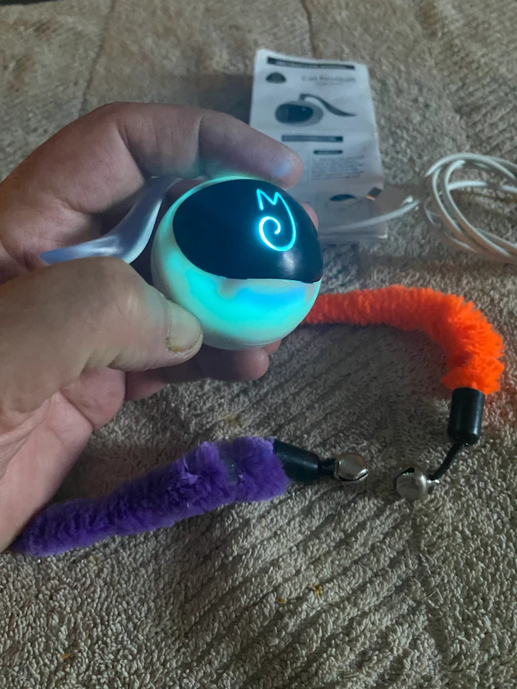 Cat Football Toy with Interactive Worm Attachment - photo 3