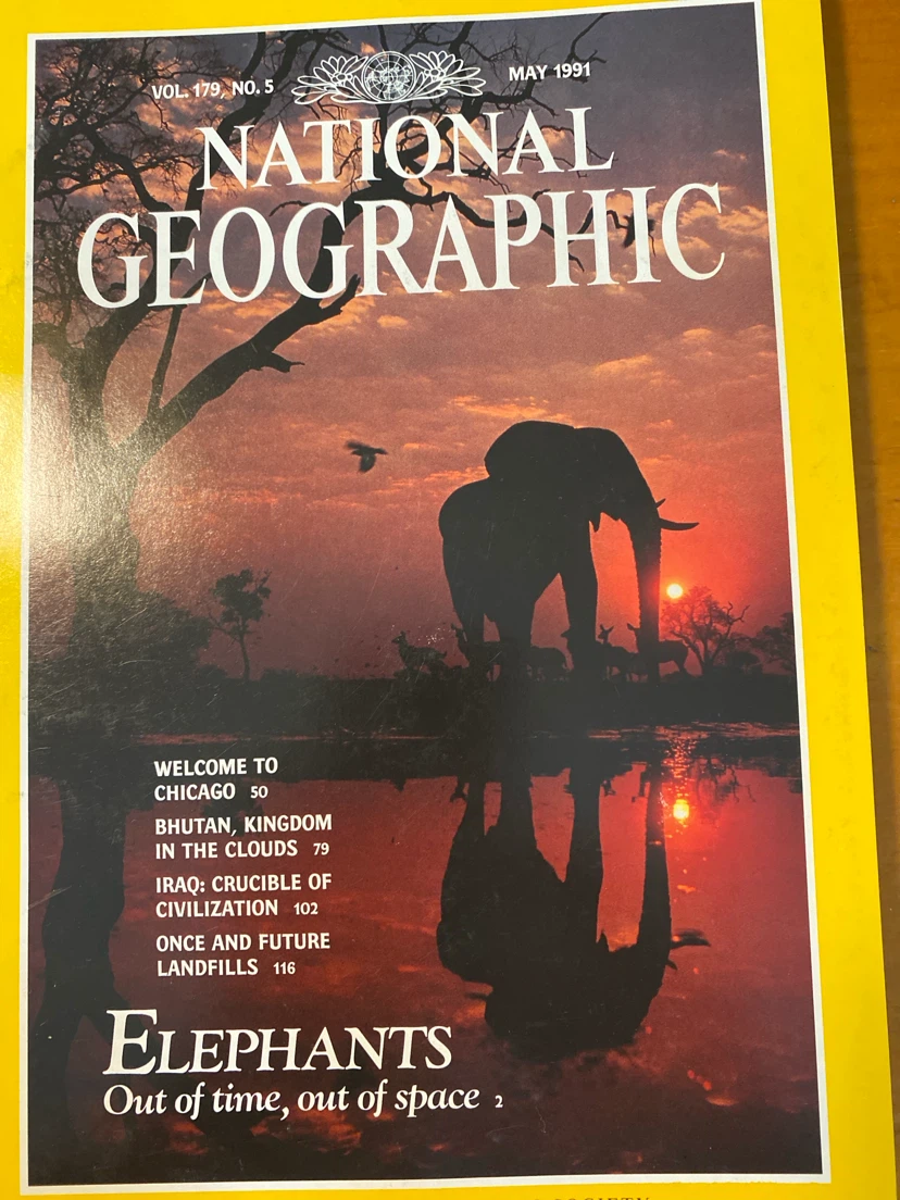 National Geographic Magazine Bundle - March to June 1991 - photo 2