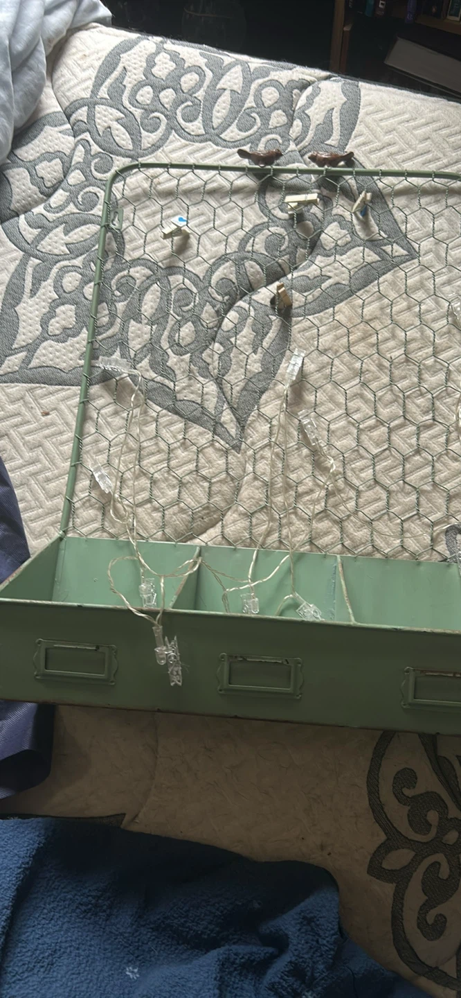 Green Metal Wall Organizer with Chicken Wire and Lights - photo 2