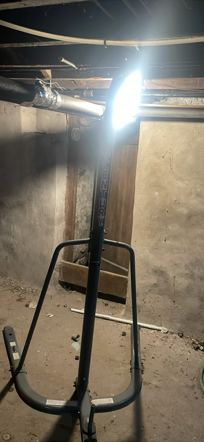 Century Heavy Bag Stand and Everlast Bag - photo 3