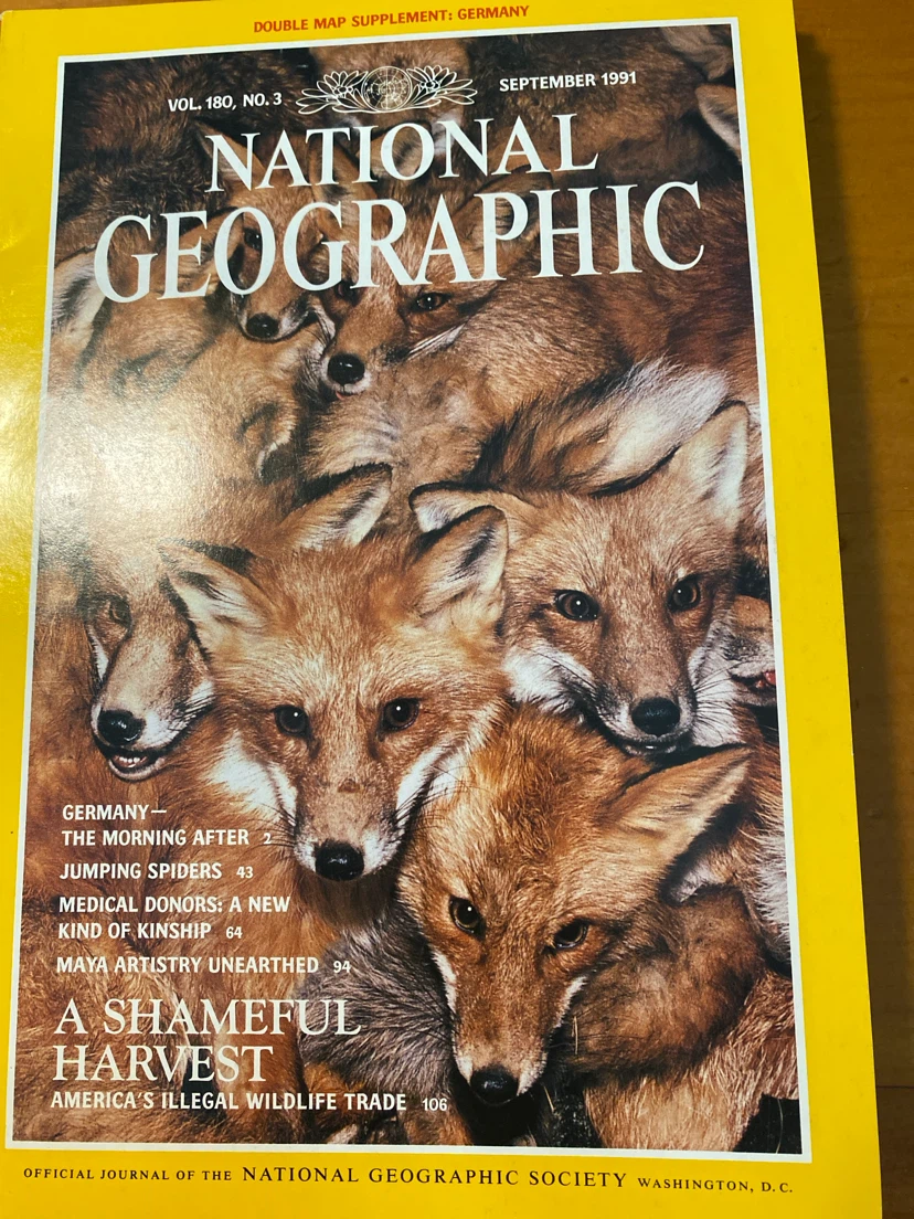 National Geographic Magazines - 1991 Collection - photo 4