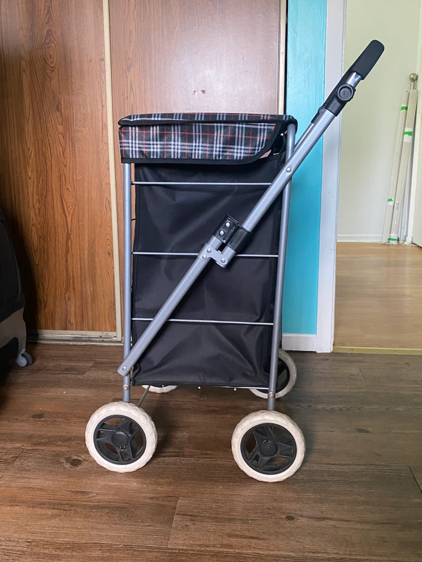 Shopping Cart with Plaid Top