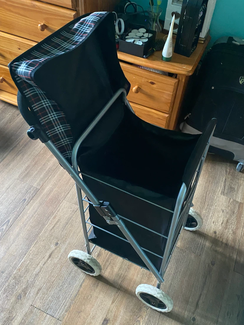 Shopping Cart with Plaid Top - photo 3