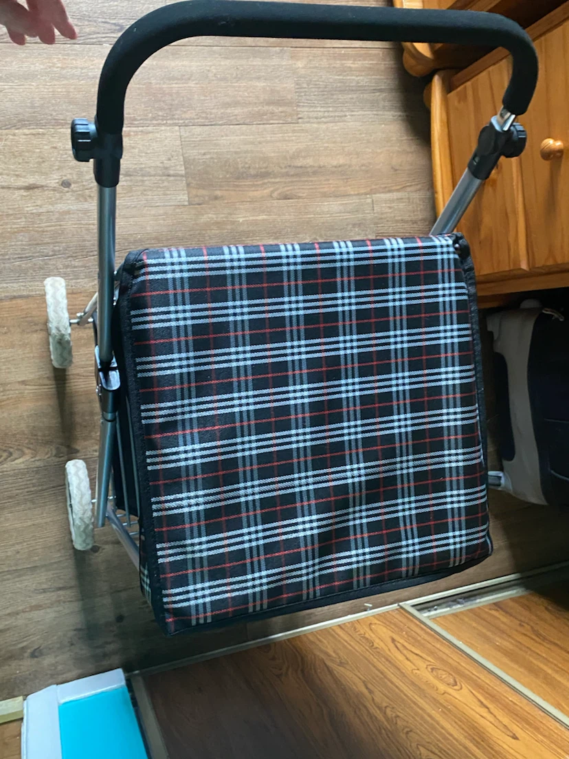 Shopping Cart with Plaid Top - photo 4
