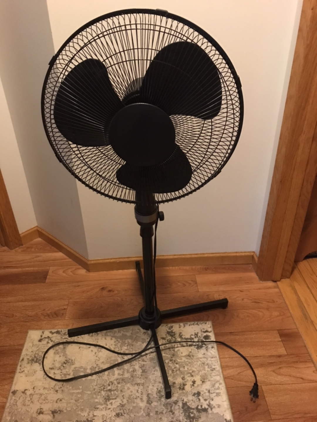 Black Oscillating Pedestal Fan