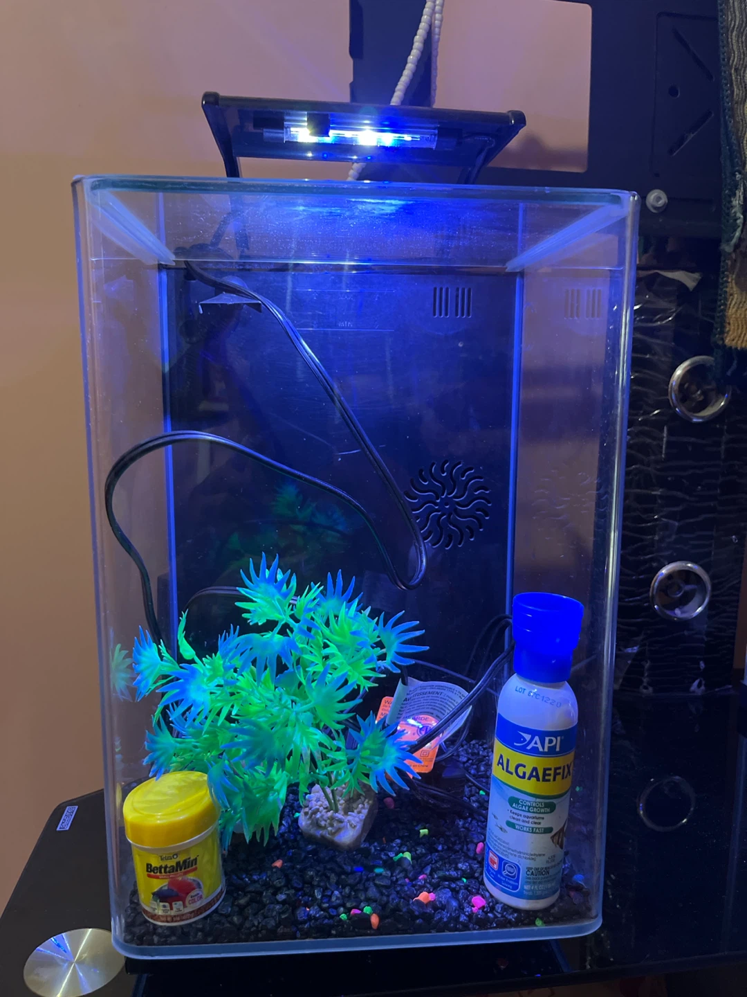 Fish tank