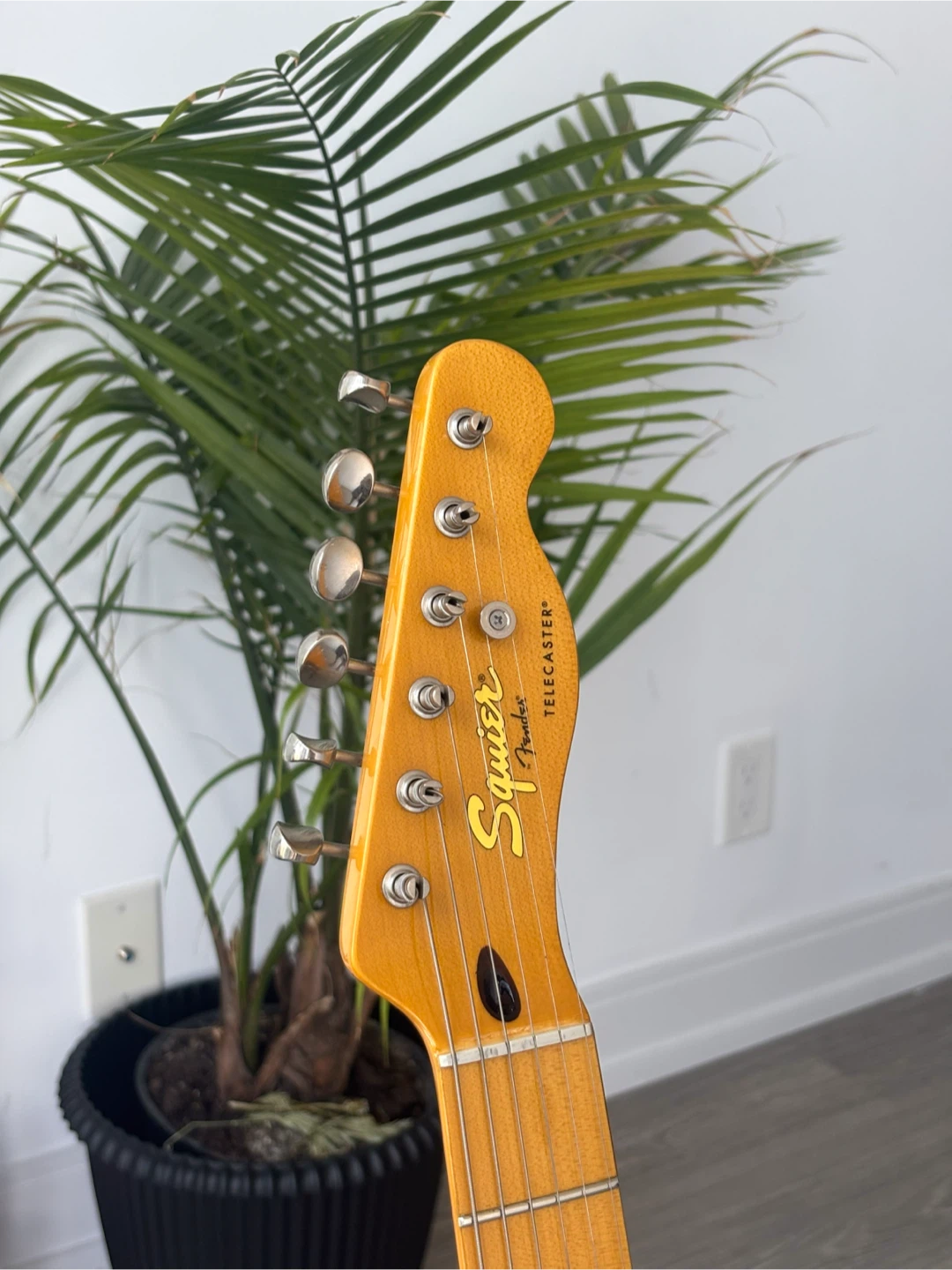 Squier Classic Vibe '50s Telecaster + Fender Gig Bag. - photo 4