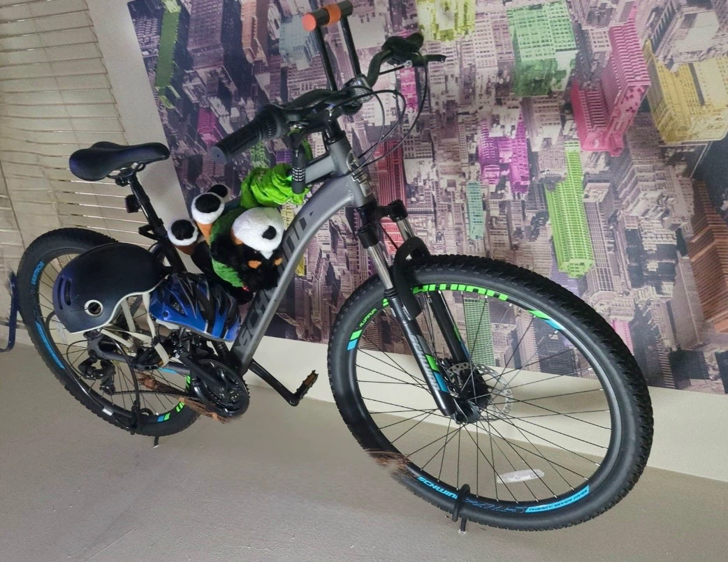Schwinn Mountain Pass 27.5" Mountain Bike
