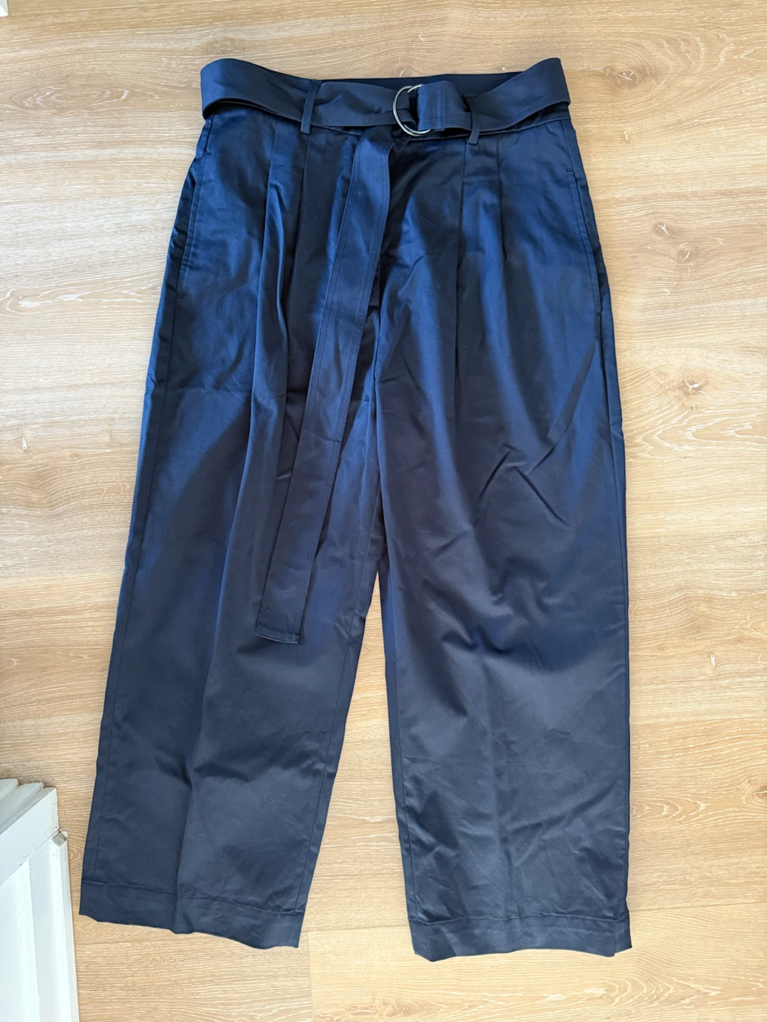 Banana Republic Navy Blue Belted ankle Pants Size 12