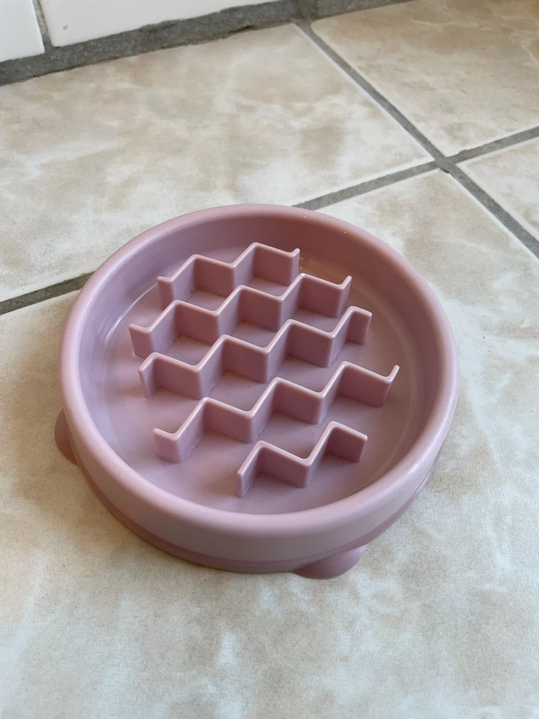 Tiny Dog/Cat Slow Feeder Bowl