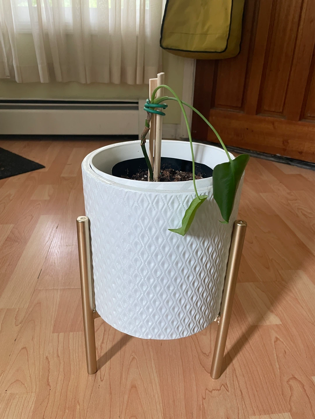 Planter stand and removable pot