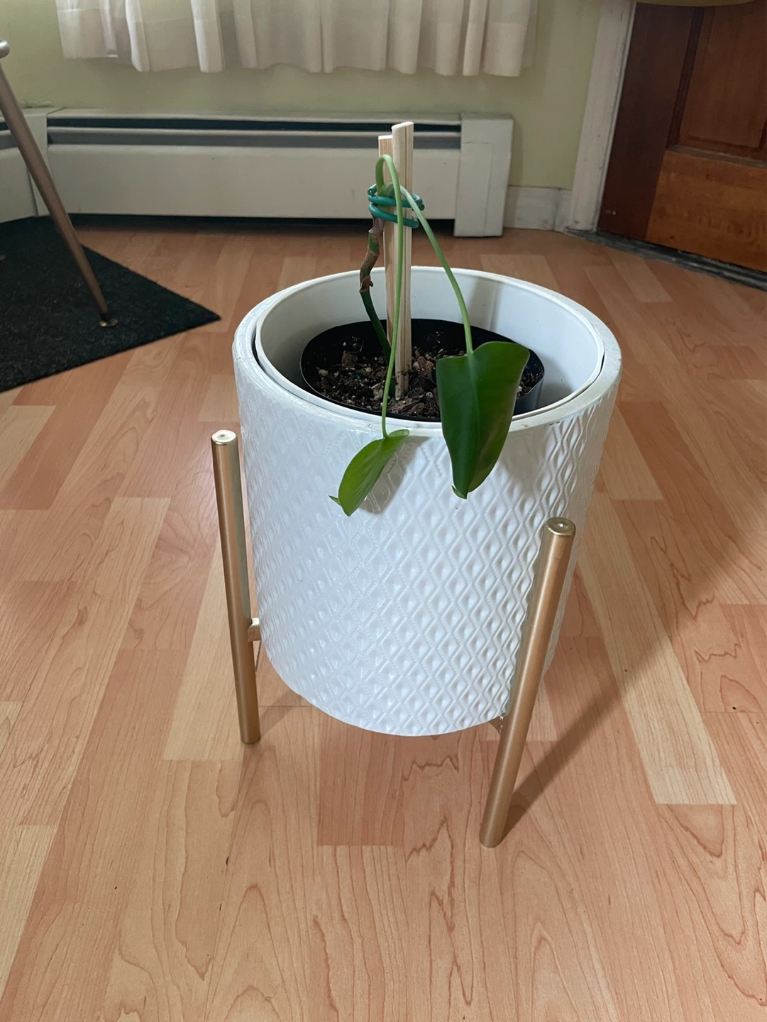 Planter stand and removable pot - photo 3