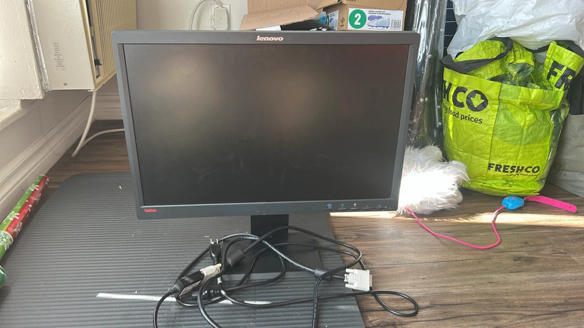Moveout sale Lenovo ThinkVision Monitor