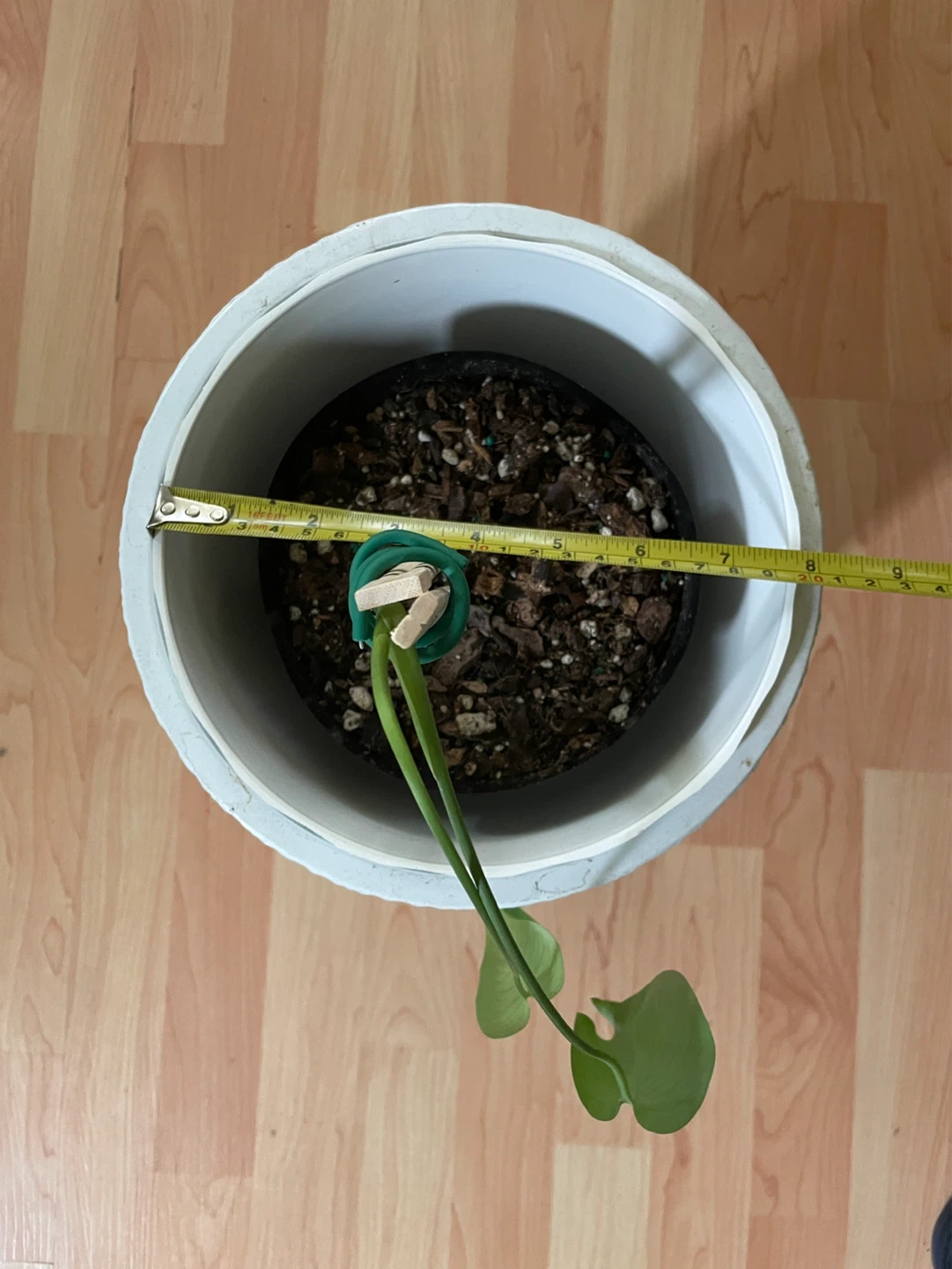 Planter stand and removable pot - photo 4