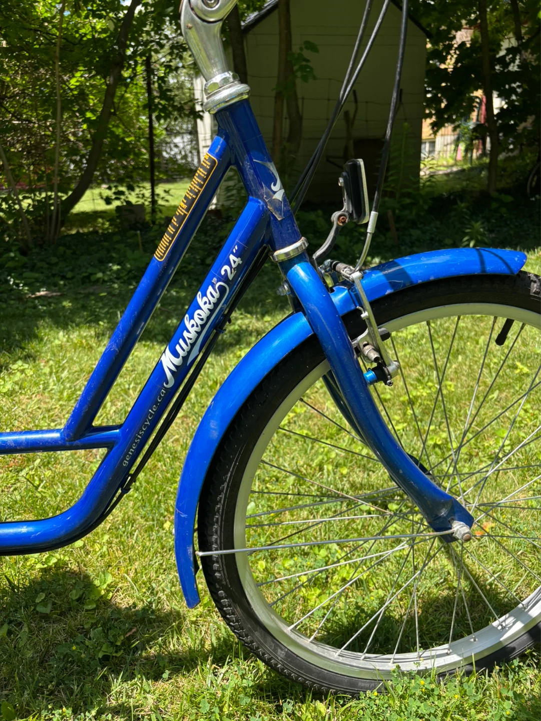 Blue Muskoka 24" Trike - photo 5