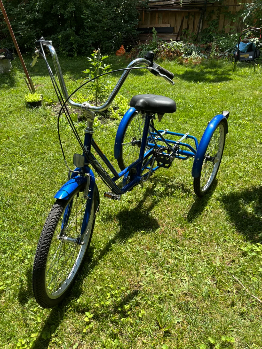 Blue Muskoka 24" Trike