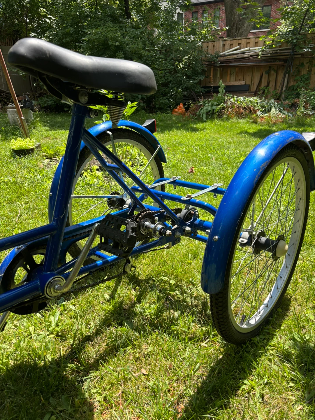 Blue Muskoka 24" Trike - photo 2