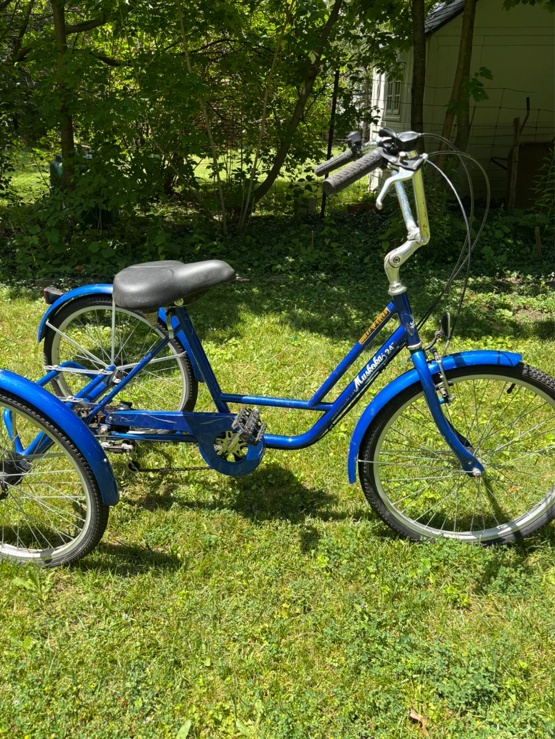 Blue Muskoka 24" Trike - photo 4