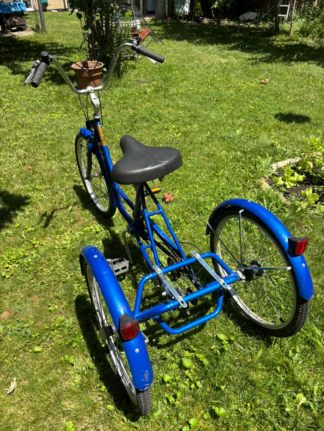Blue Muskoka 24" Trike - photo 3