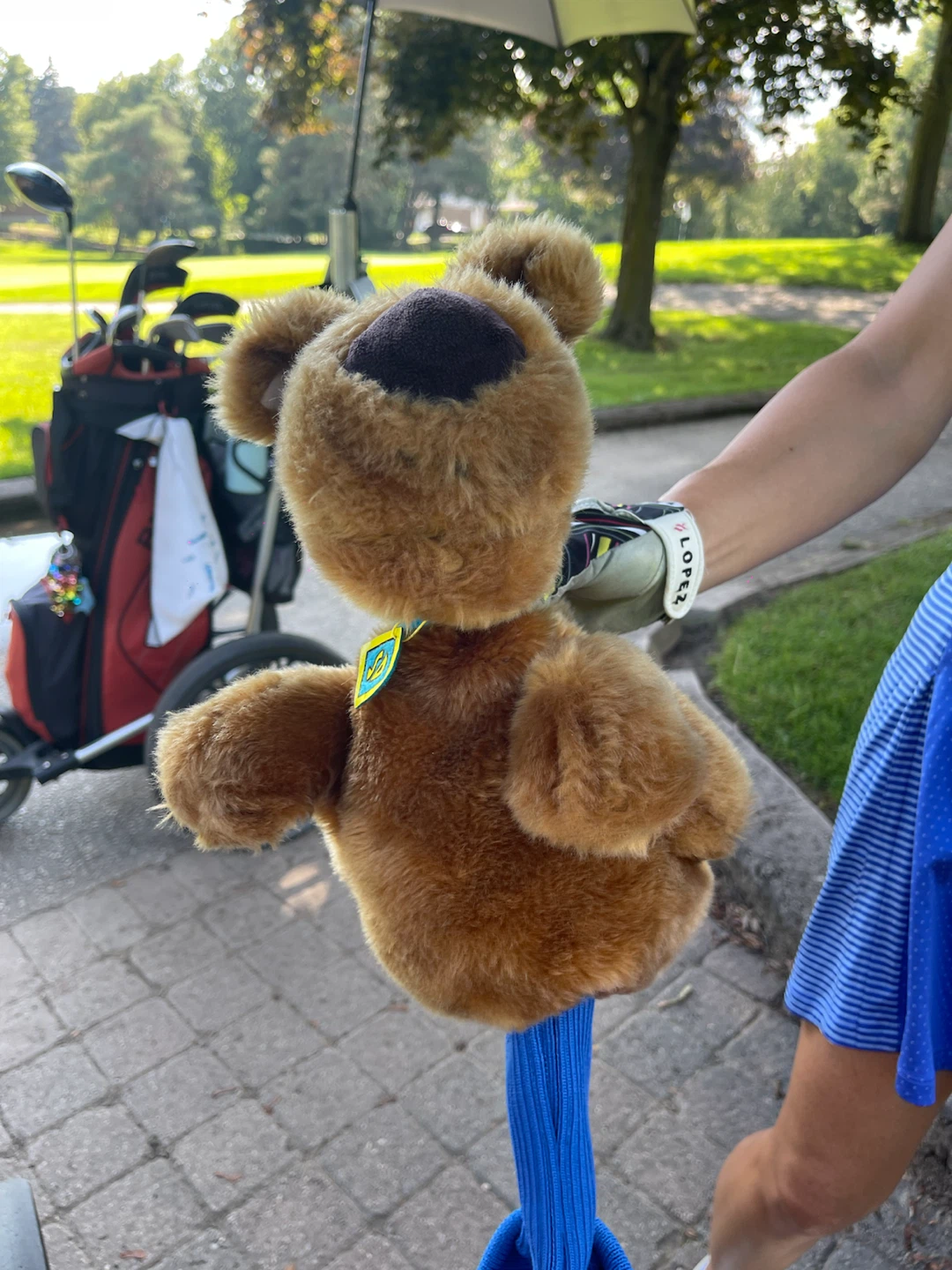 Scoring Doo Dog Golf Club Headcover