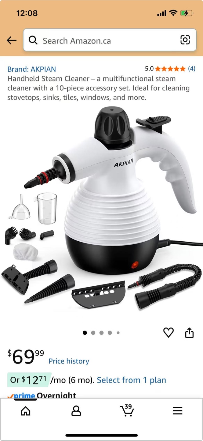 AKPIAN Handheld Steam Cleaner with 10-piece Accessory Set