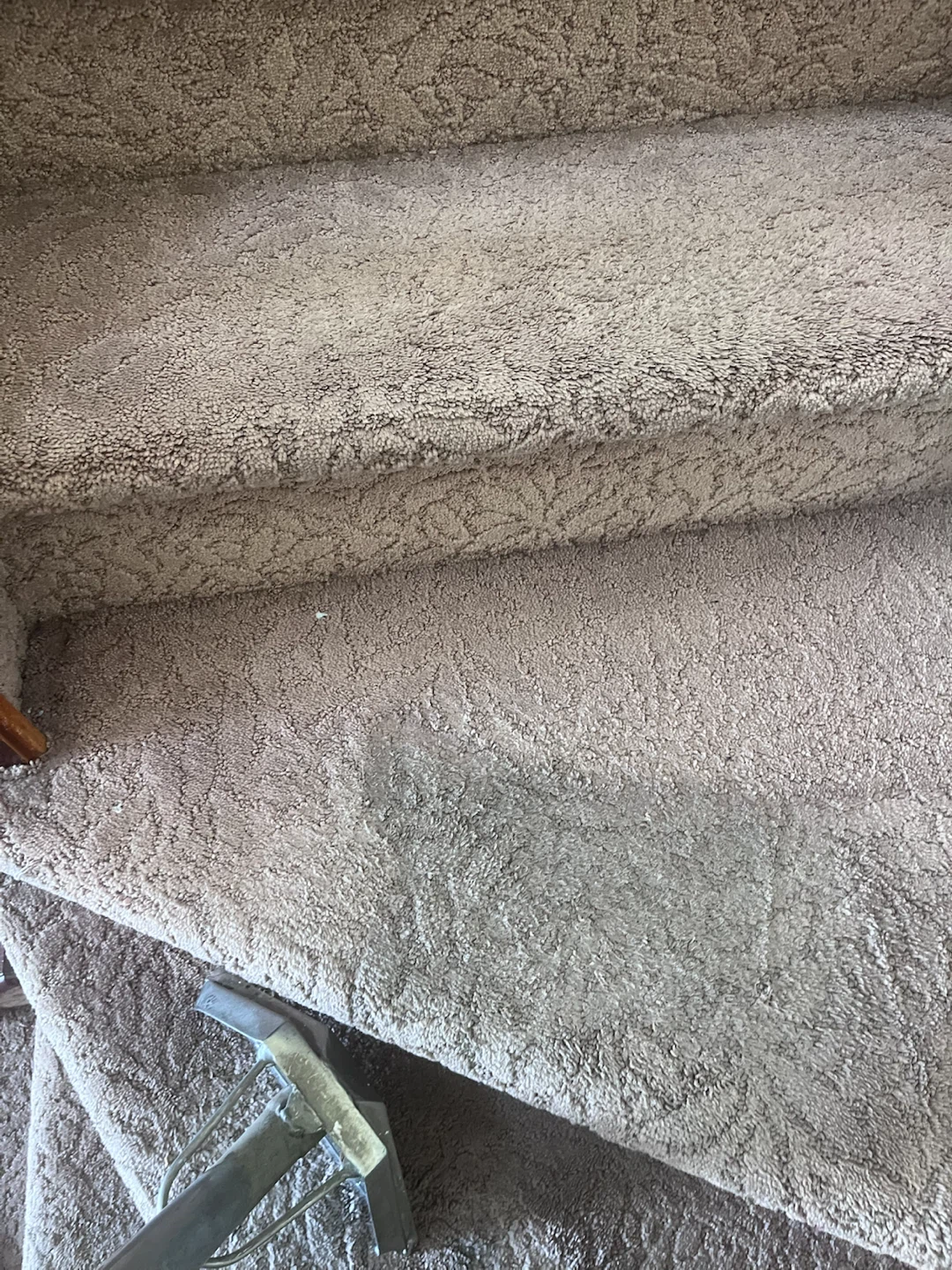Truckmount Steam Shampoo Carpet Cleaning  Deals