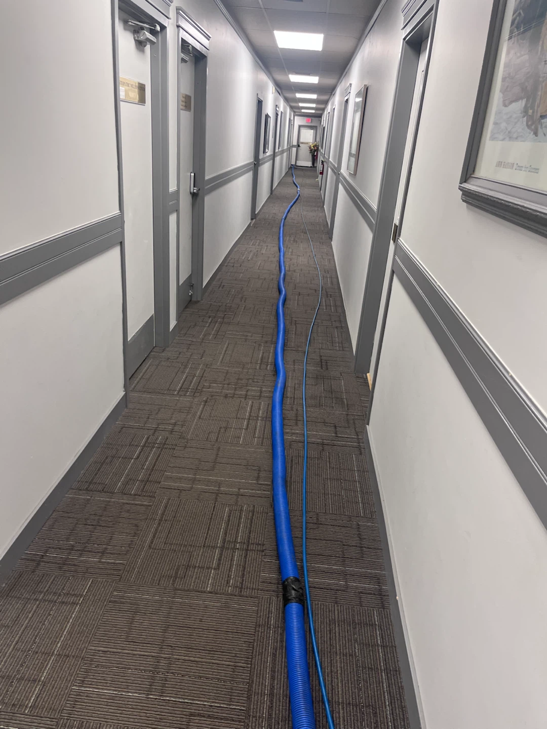 Truckmount Steam Shampoo Carpet Cleaning  Deals - photo 5