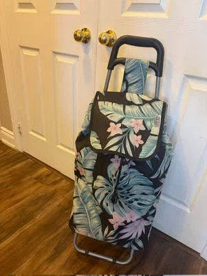 Shopping Cart Bag